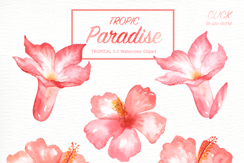 tropic-paradise-watercolor-clipart