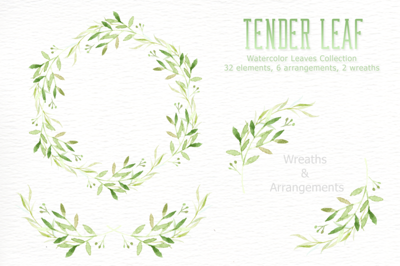 tender-leaf-watercolor-clipart