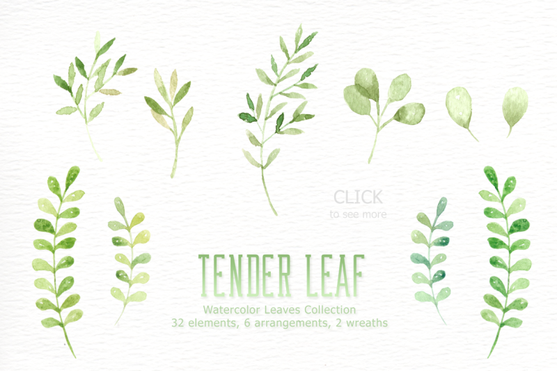 tender-leaf-watercolor-clipart