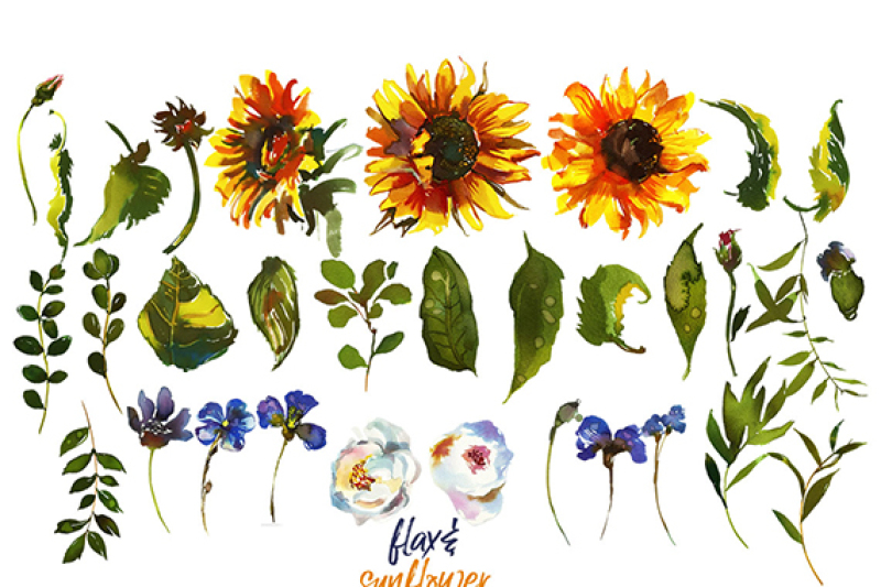 boho-sunflower-flax-flowers-bull-scull-feathers-clipart