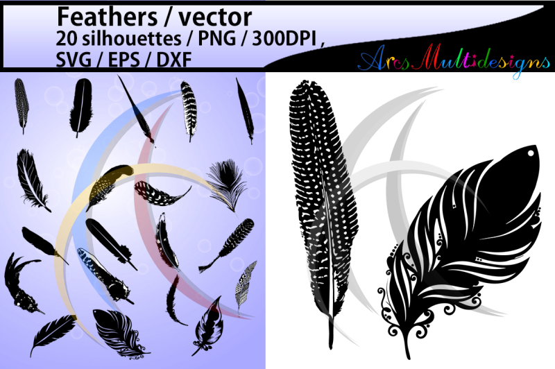 feather-vector-set-svg
