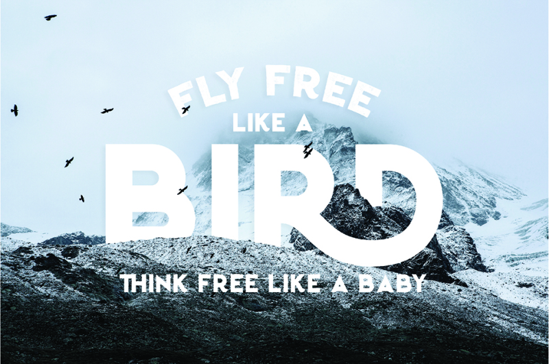 birdfield-typeface