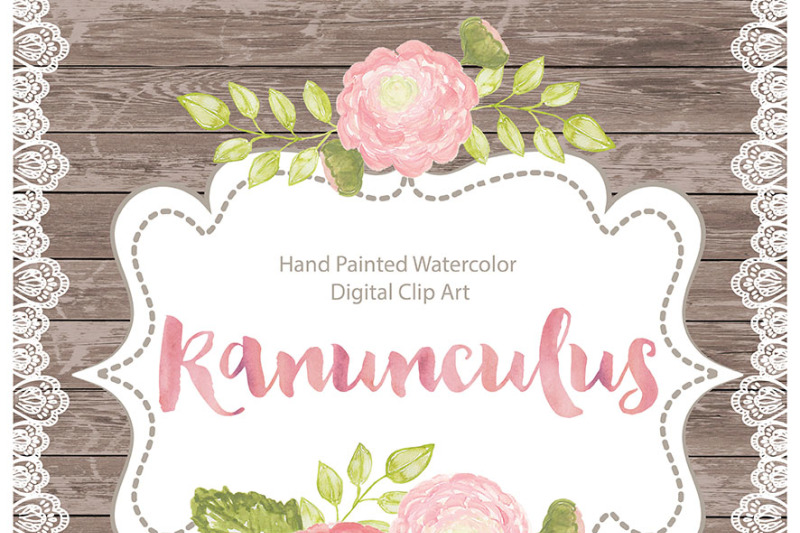 watercolor-ranunculus