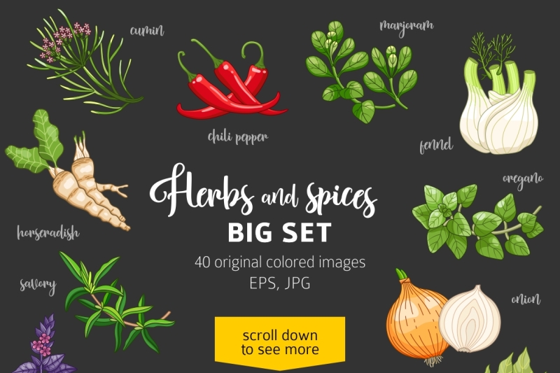 40-colored-spices-and-herbs-on-dark