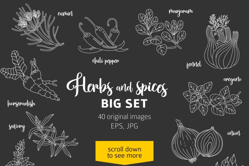 40-spices-and-herbs-on-dark