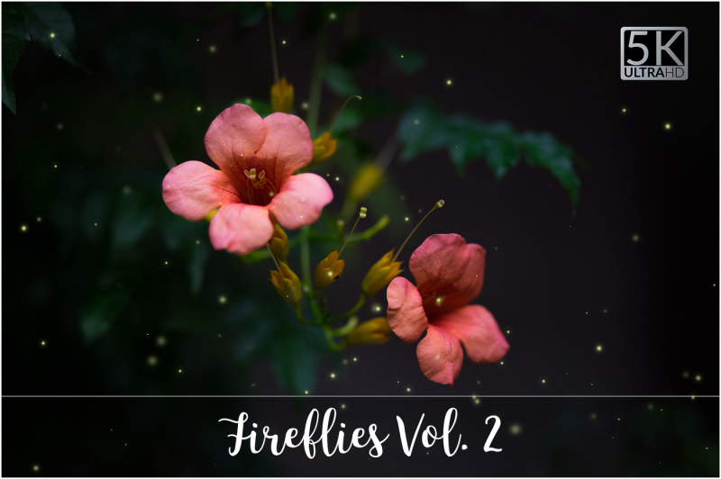 5k-fireflies-vol-2