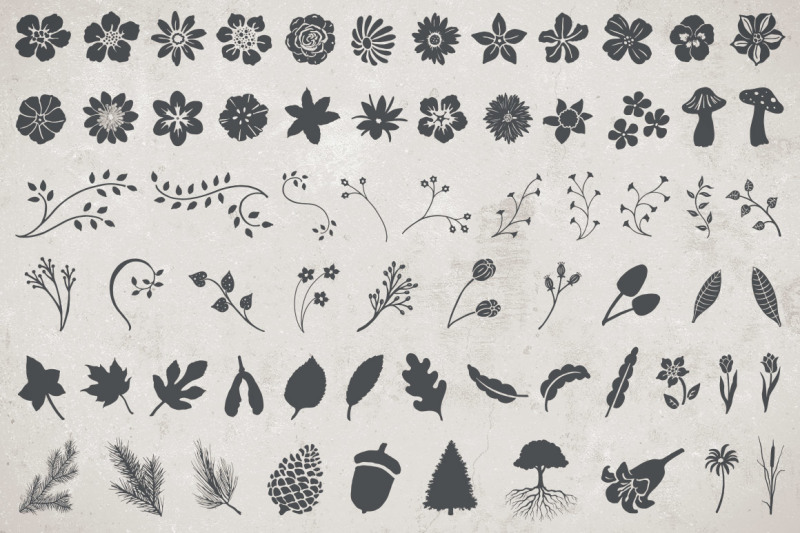 greenhaus-floral-vector-pack-volume-1