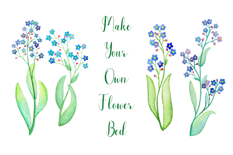 forget-me-not-floral-watercolor-clipart