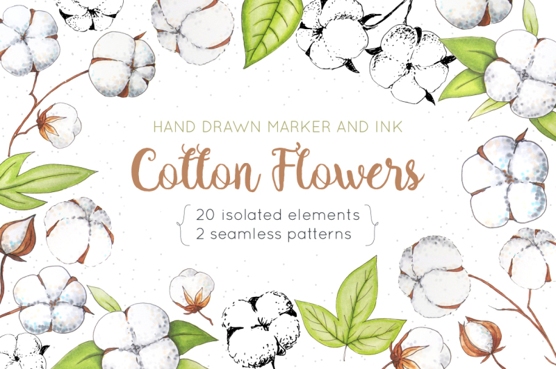 cotton-flowers-handdrawn-set