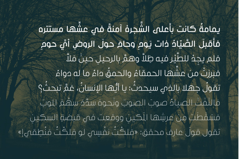 inseyab-arabic-typeface