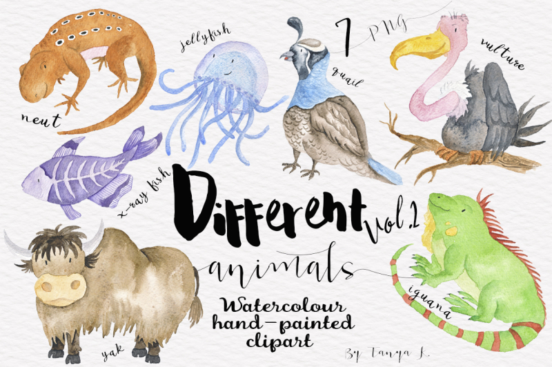 different-animals-watercolor-clipart