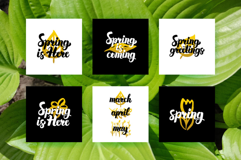 spring-lettering-posters