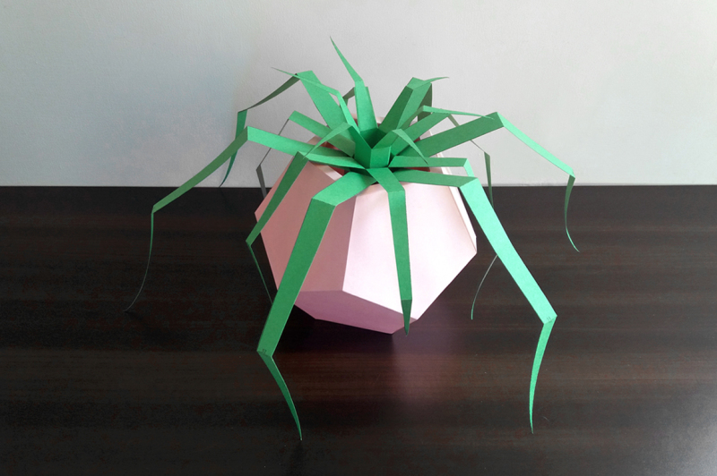 diy-pentagonal-vase-planter-3d-papercrafts