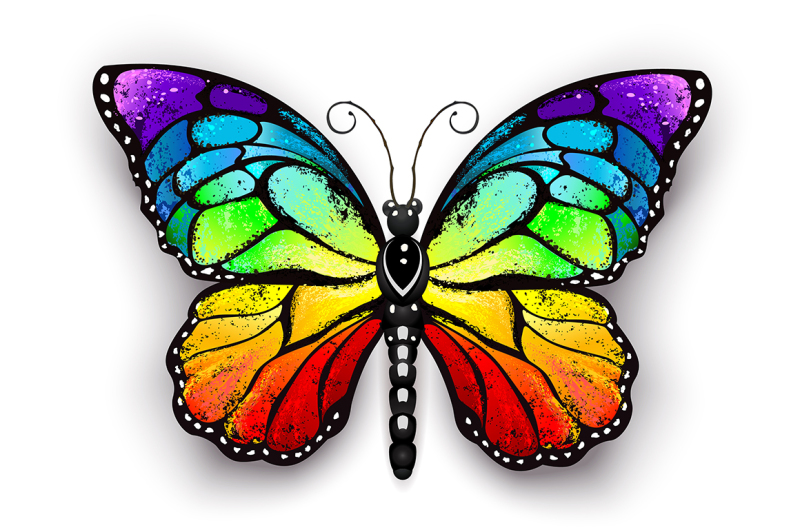 rainbow-monarch-butterfly