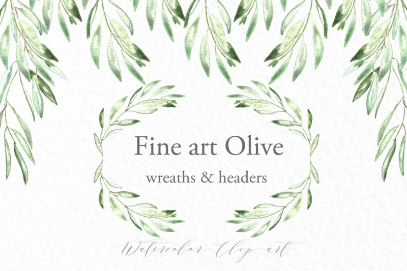 olive-branches-wreaths-and-headers-watercolor-clipart