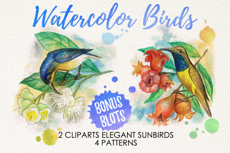 watercolor-bundle