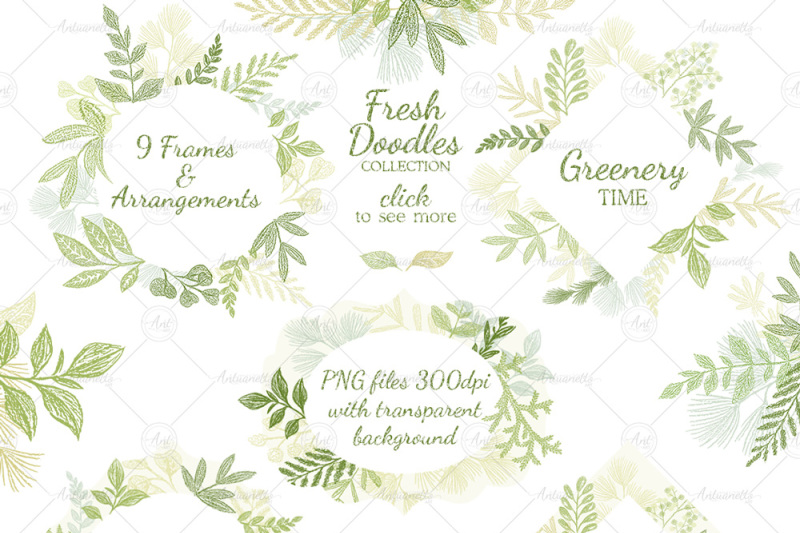 leaves-branches-and-herbs-frames-fresh-doodle-collection
