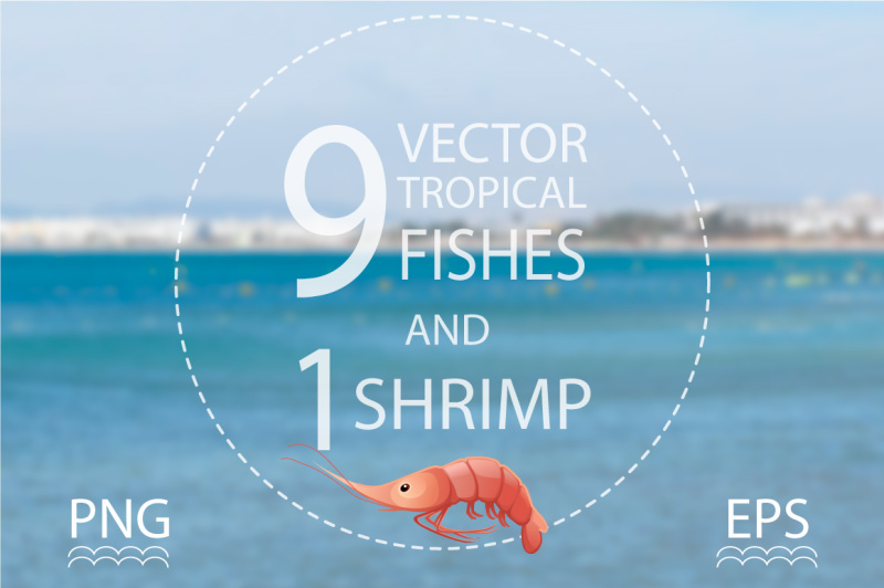 vector-tropical-fish-and-shrimp-set