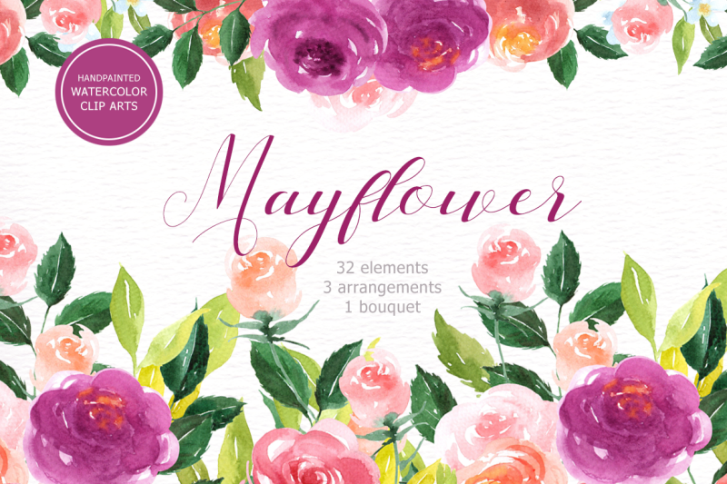 mayflower-floral-watercolor-clip-art