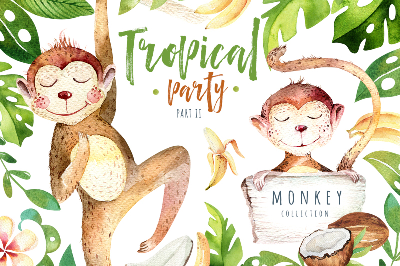 tropical-party-ii-monkey-collection