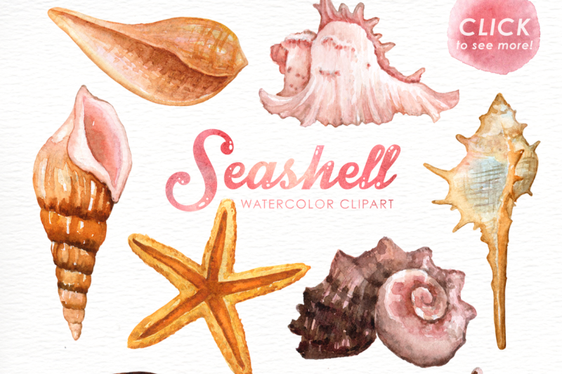 seashell-watercolor-cliparts