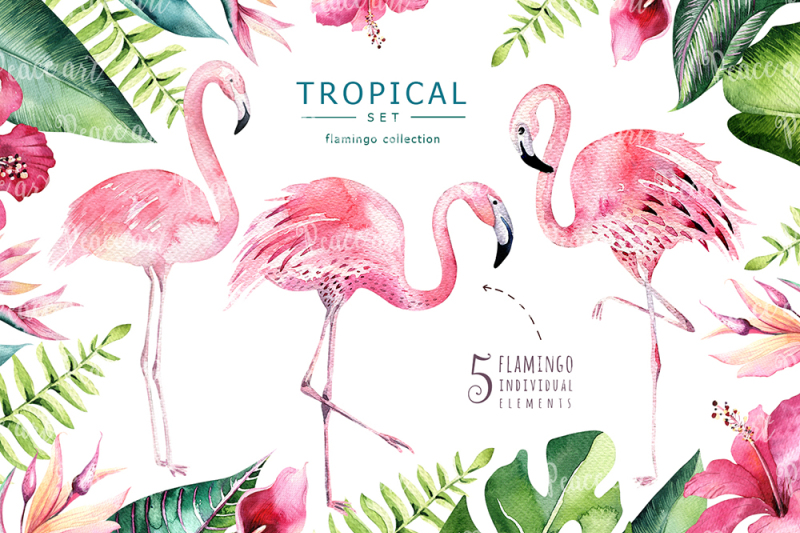 tropical-set-ii-flamingo-collection