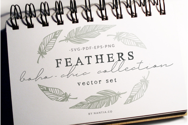 boho-chic-feathers-vectors-amp-pattern