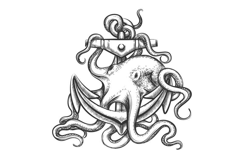 octopus-and-anchor