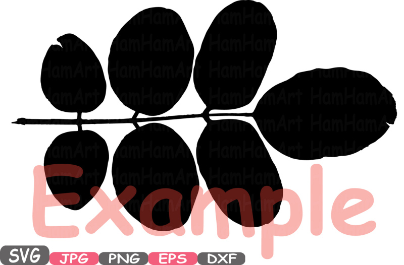 fall-leaf-designs-silhouette-svg-file-cutting-files-stickers-school-clipart-dxf-cricut-autumn-leaves-661s