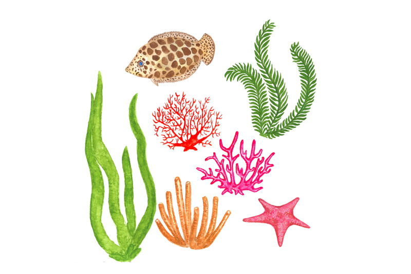 set-of-watercolor-sea-creatures