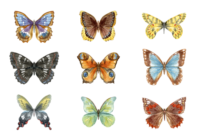 9-watercolor-butterflies-png-vector