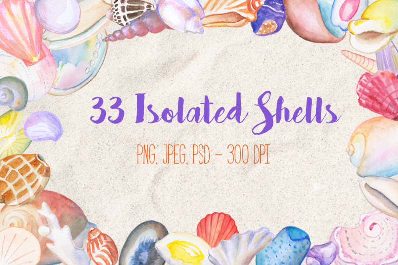 sea-shells-watercolor-clipart