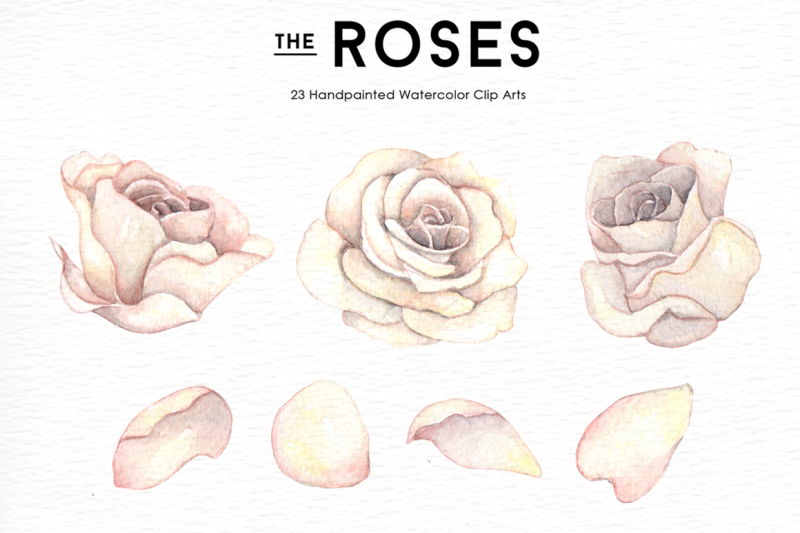 rose-flowers-watercolor-clipart