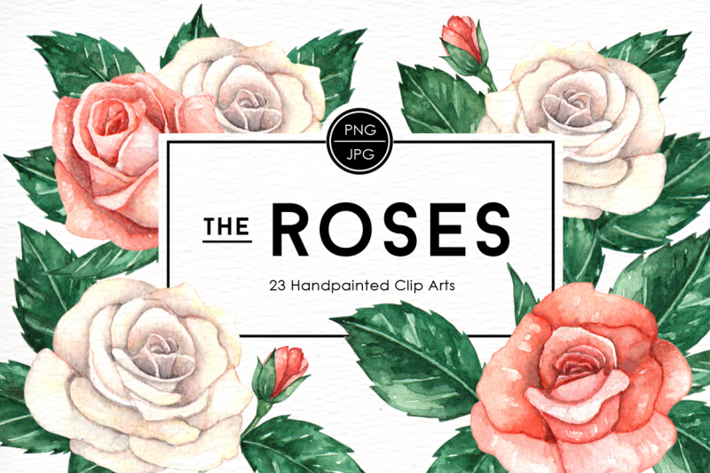 rose-flowers-watercolor-clipart