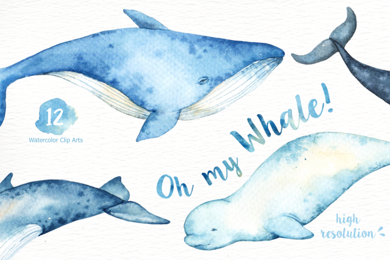 oh-my-whale-watercolor-clip-arts