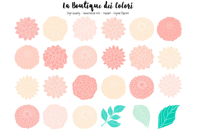 pink-and-mint-dahlia-flowers-clipart