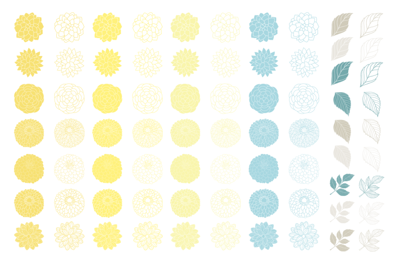 yellow-and-grey-dahlia-flowers-clipart