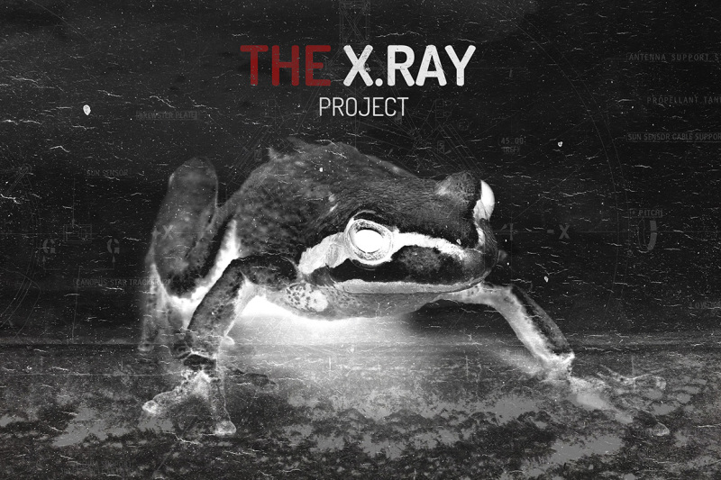 the-x-ray-theory