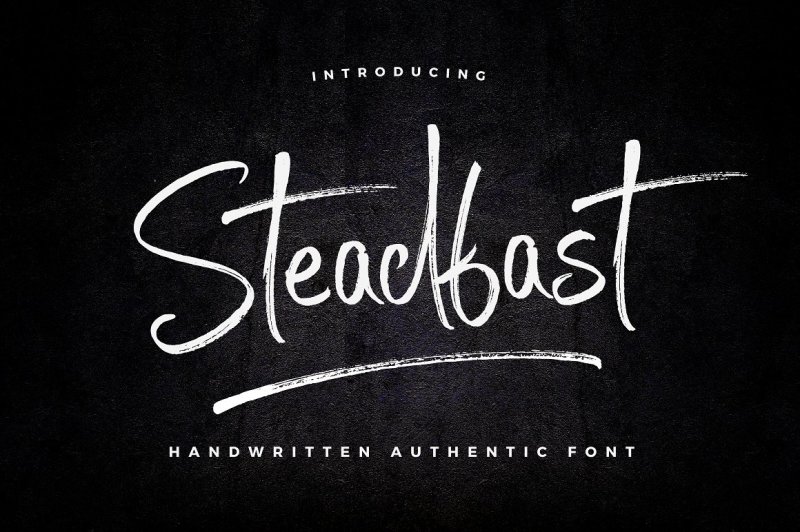 steadfast-script
