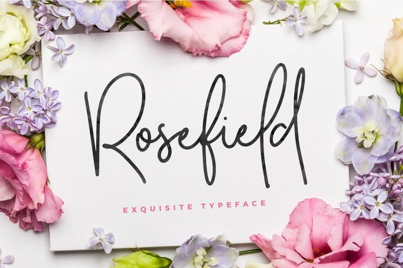 rosefield-typeface