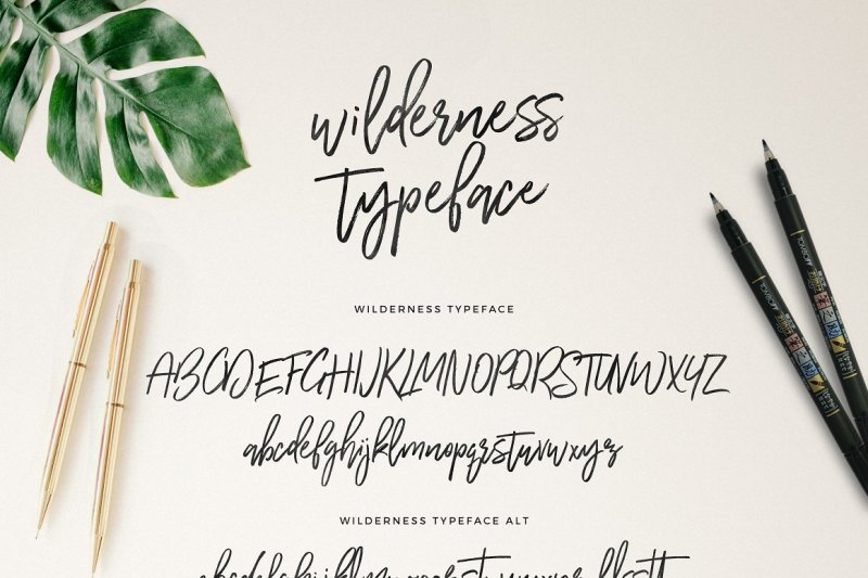 wilderness-typeface