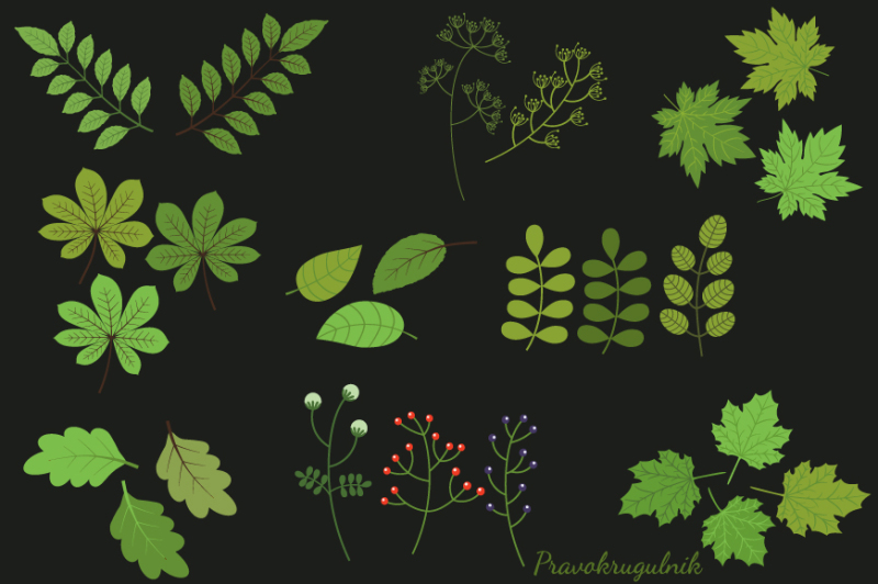 green-foliage-clipart-green-leaf-clip-art-summer-spring-leaves