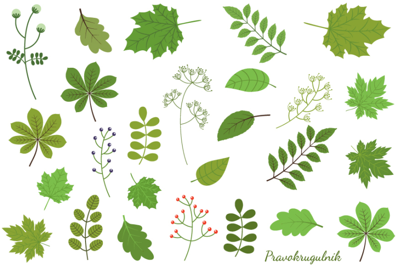 green-foliage-clipart-green-leaf-clip-art-summer-spring-leaves