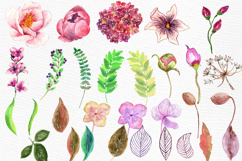 watercolor-floral-clip-art