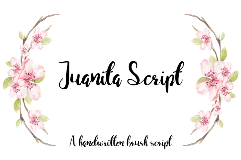 juanita-brush-script