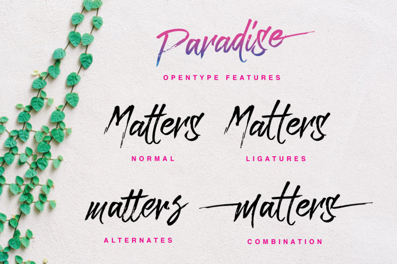 paradise-typeface