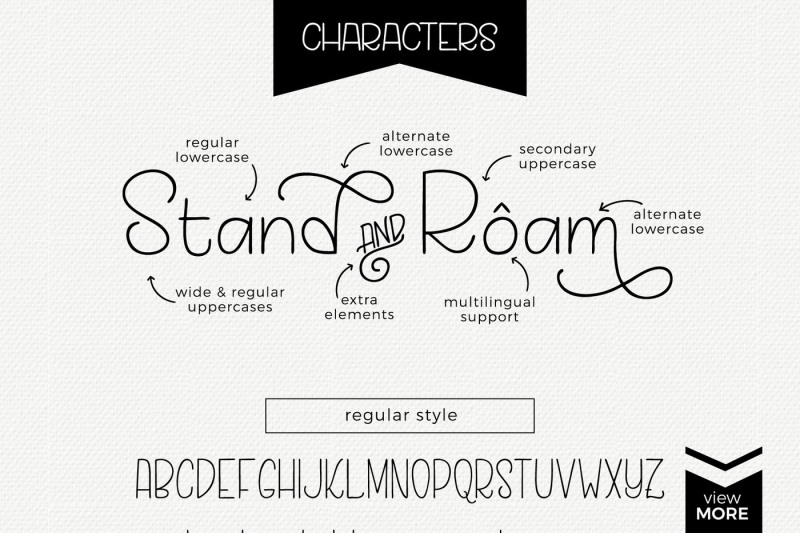 stand-and-roam-font-duo