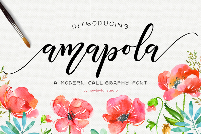 amapola-script-font