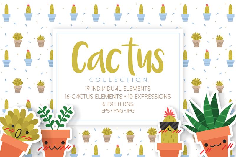 cactus-collection