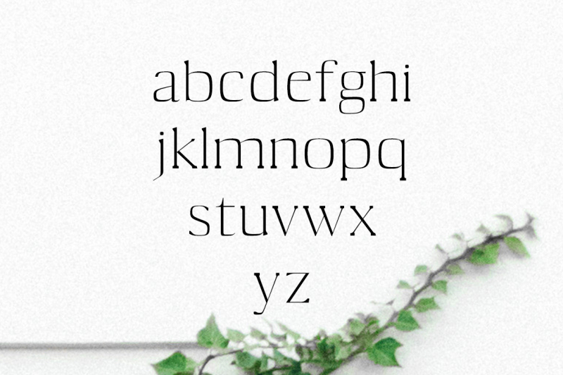 medric-serif-font-family